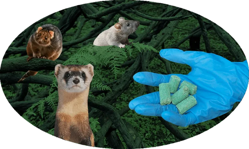 FeatureImage_PestPoison