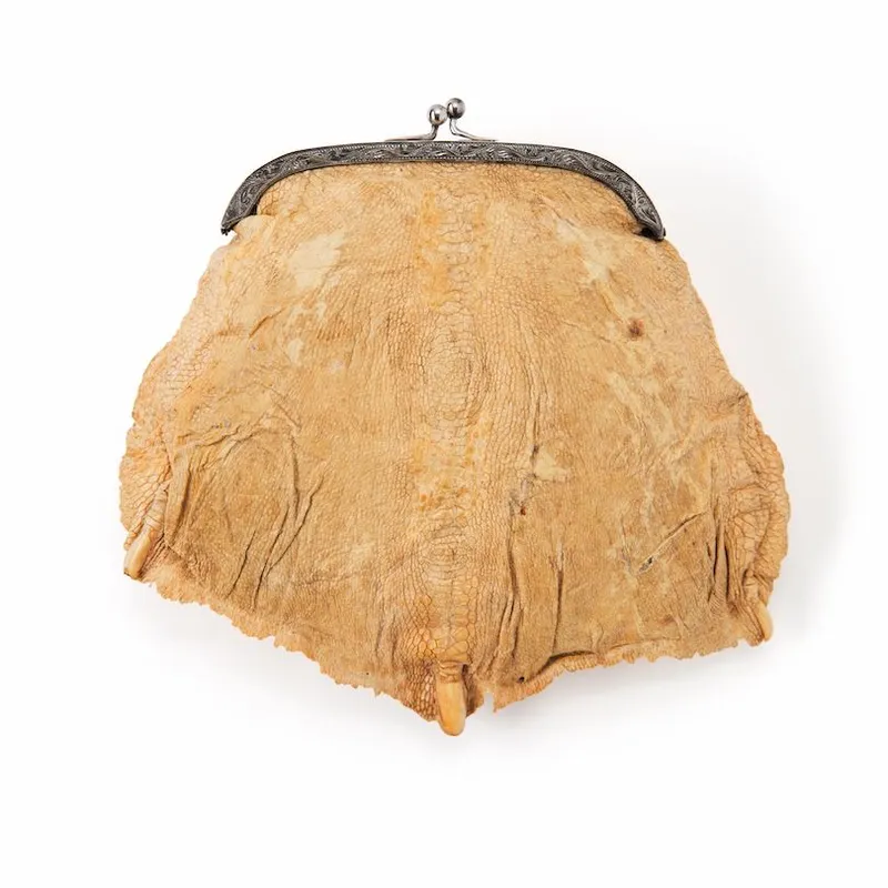 Grotesque photograph of a purse, beige in colour, with three claws at intervals across the centre.