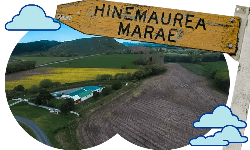 A wooden sign reading "HINEMAUREA MARAE" stands above a rural landscape with fields, a building, hills, and illustrated blue clouds decorating the image.