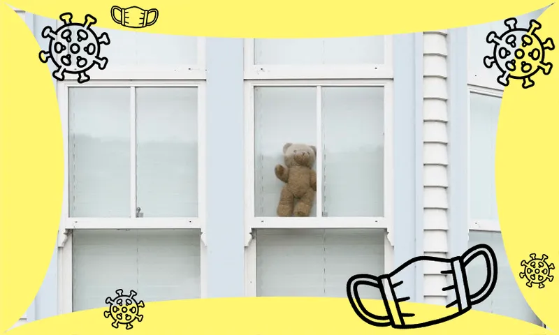 teddy-in-window-covid
