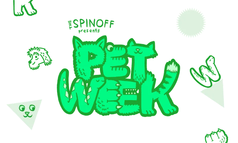 PetWeek-intro