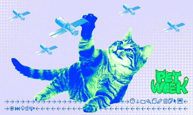 IRL_FeatureImage_Petrek3G2