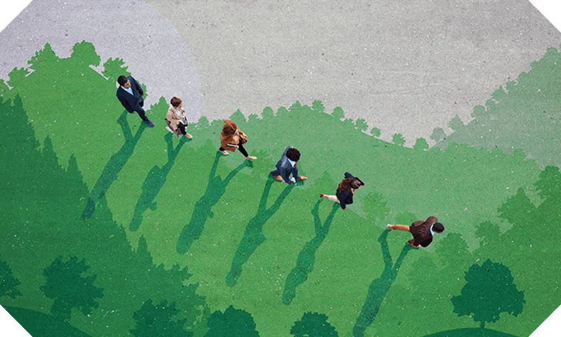 B Corp feature image