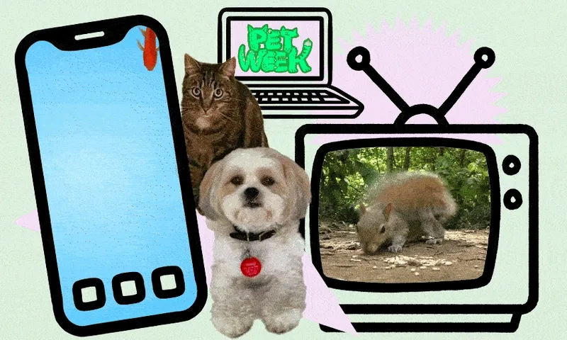 PW_Pet screens-comoressed
