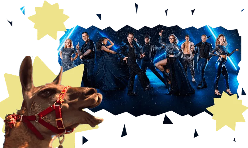 DWTS