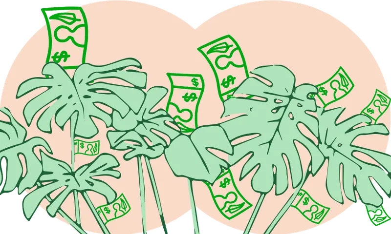 houseplants