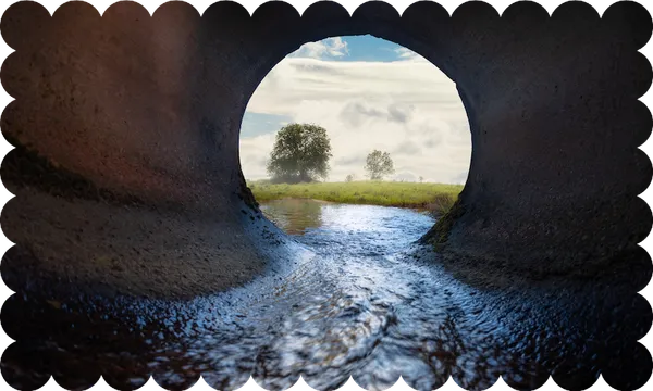 A view looking out a water pipe at a trees beyond
