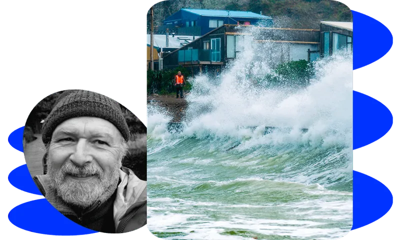 sealevel-Owhiro-Bay-local