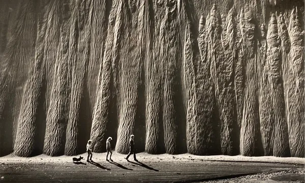 Walkabout-ft
