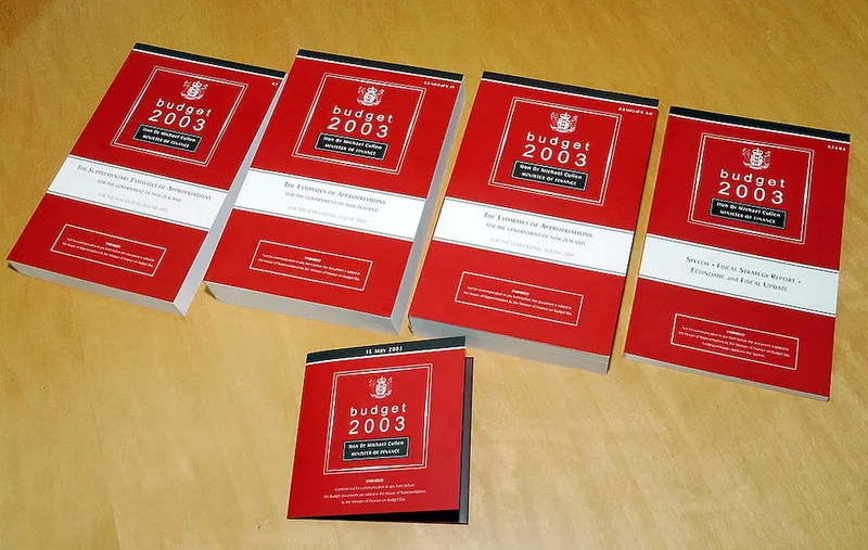The 2003 Budget documents which Finance Minister M
