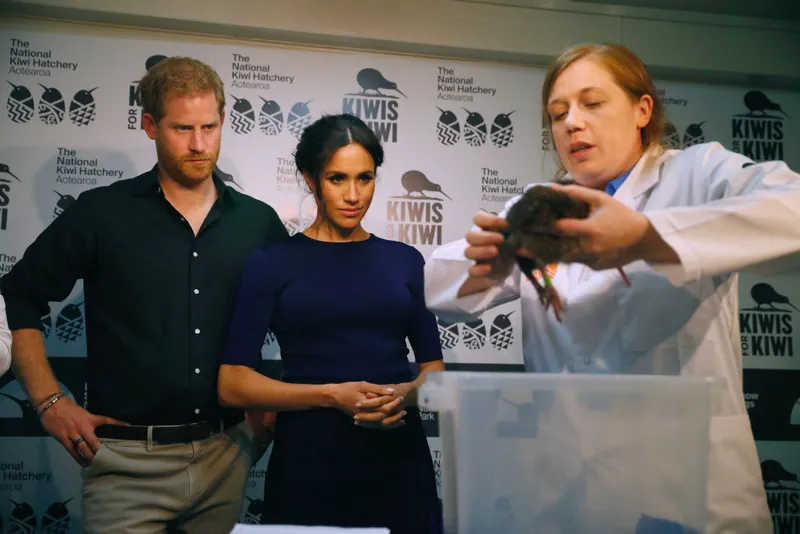 The Duke And Duchess Of Sussex Visit New Zealand - Day 4