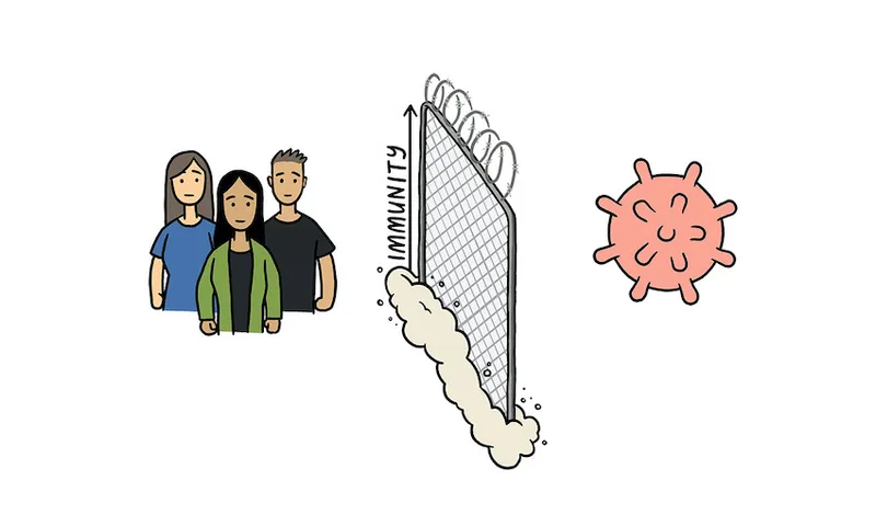 Reinfections-header.jpg