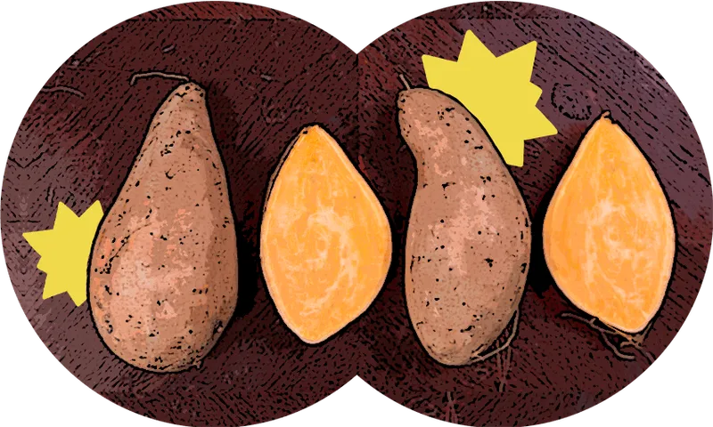 Kumara.png