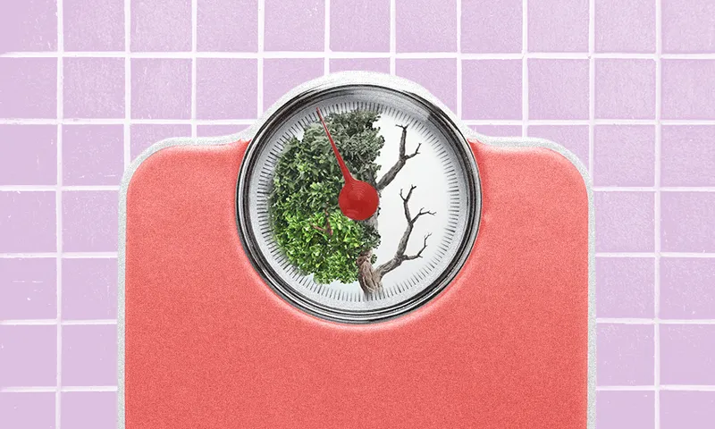 FeatureImage_CarbonCalories.png