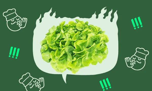 FeatureImage_HMOCookingLettuce.png