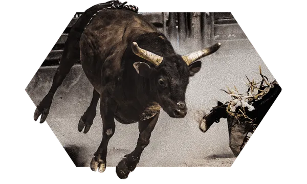 rodeo.png