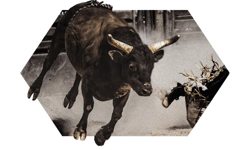 rodeo.png