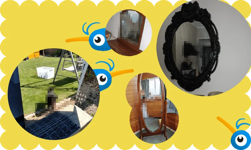 mirrors-pix.png