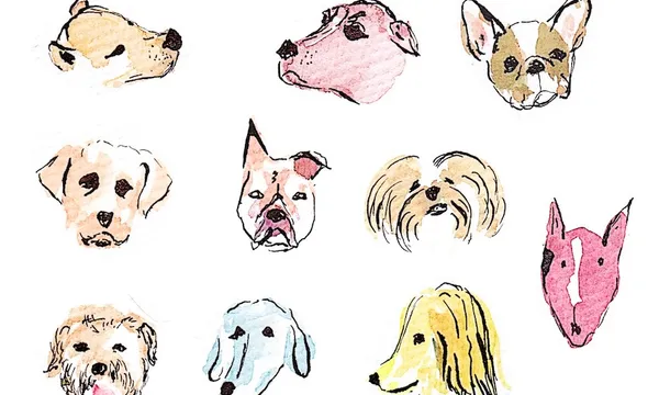 dogs.jpeg