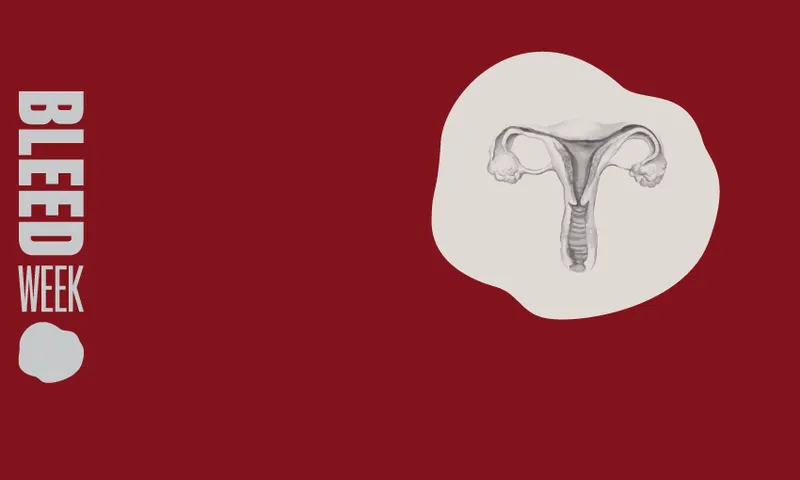 BW-Uterus.png