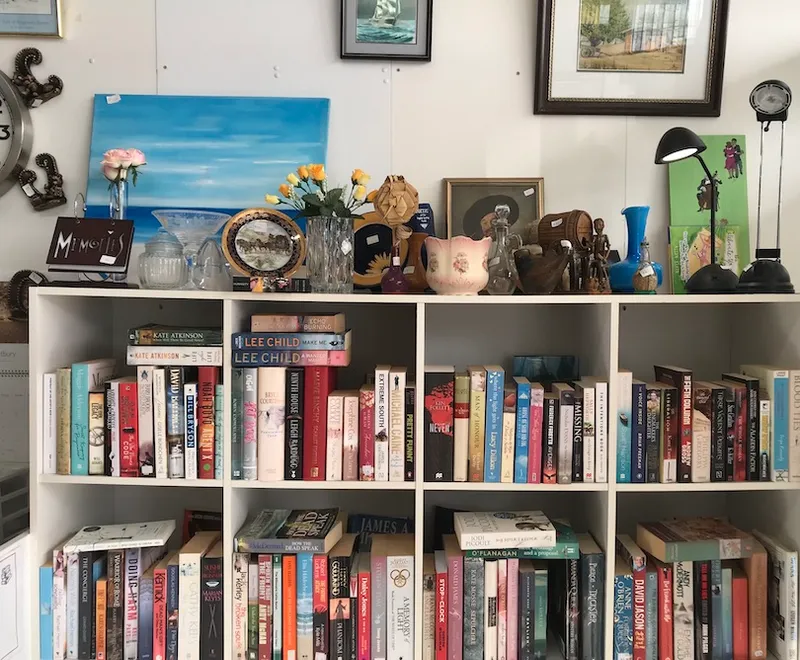 Photograph of a bookshelf in an op shop, crammed with Lee Child and Jodi Picoult et al, knick knacks all along the top shelf