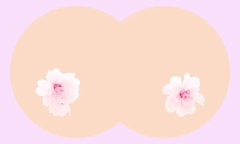 CheeryBlossomTitties.png