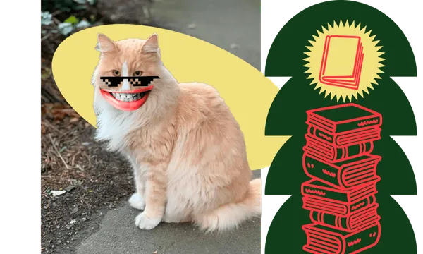 Photo of a big fluffy ginger cat. We've put cool-guy glasses and a big cheesy grin on him. Plus a stack of book emojis off to the right.