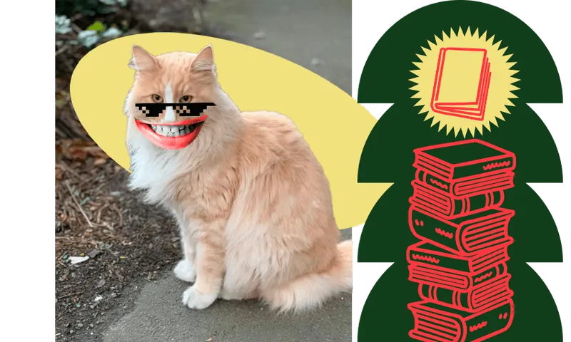 Photo of a big fluffy ginger cat. We've put cool-guy glasses and a big cheesy grin on him. Plus a stack of book emojis off to the right.