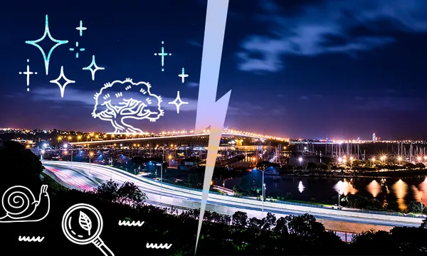 lit up city with illustrations of trees and stars and snails