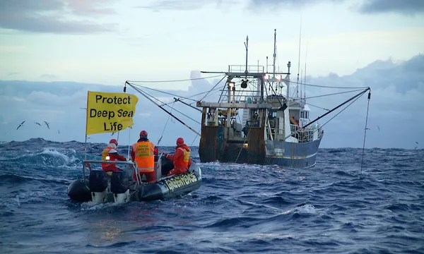 Monitoring Deep Sea Trawling, Tasman Sea