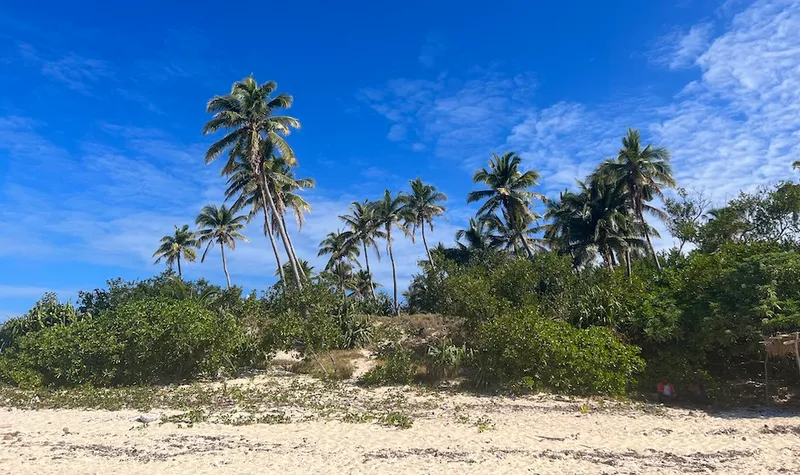 Fiji