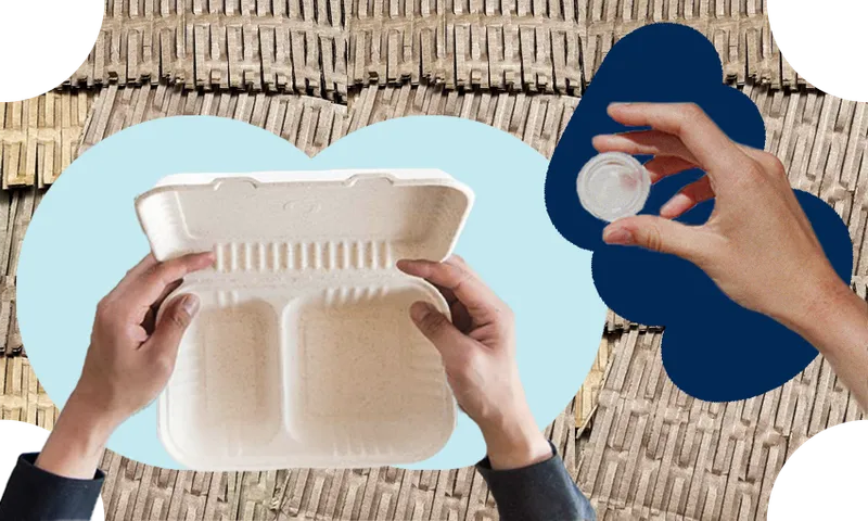 sustainability.png
