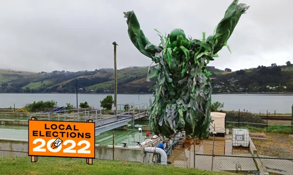 slime-moller-1.jpg