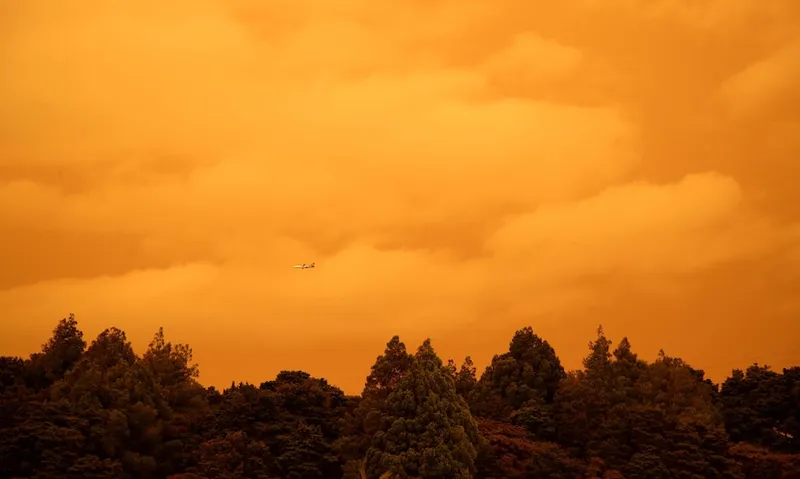 Orange.jpg