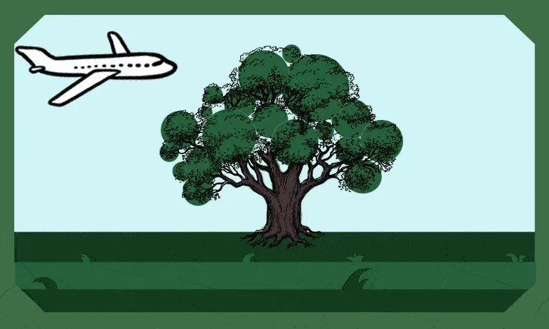 Now-thats-a-tree.gif