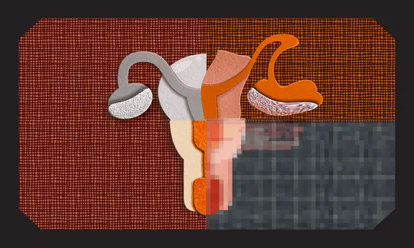 uterus.png