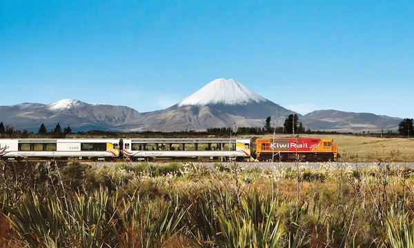 A KiwiRail passenger train travels through a grassy landscape with a snow-capped mountain and clear blue sky in the background. Shrubs and wild plants are visible in the foreground.