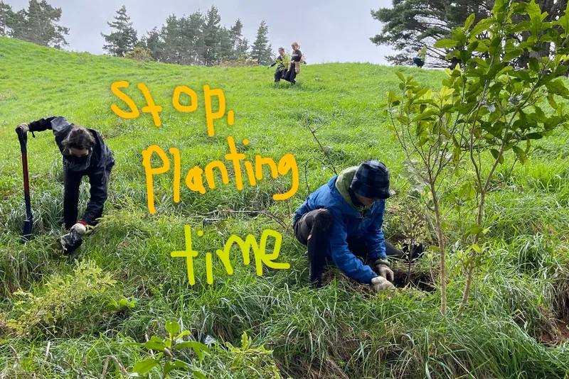 Two figures in a reserve, crouched over putting plants in the earth. Two figures in the background carry a large plant