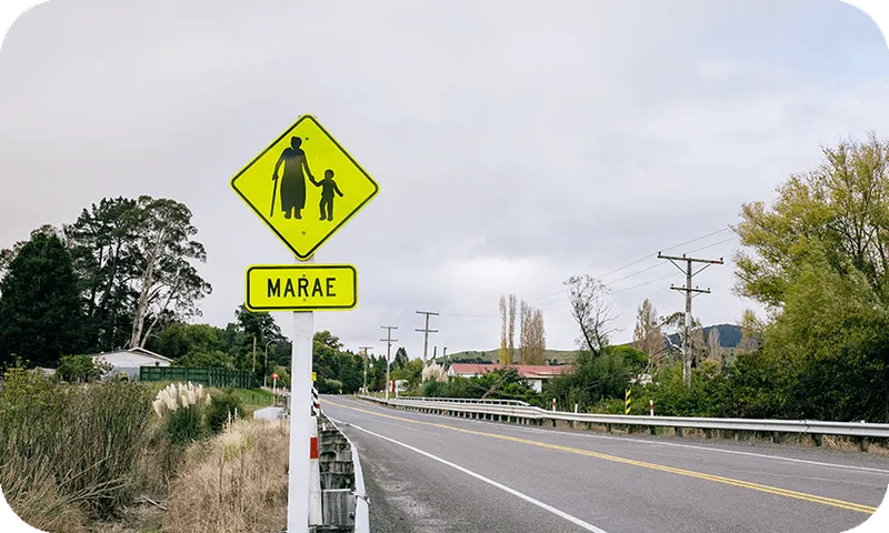 FeatureImage_MaraeSigns.png