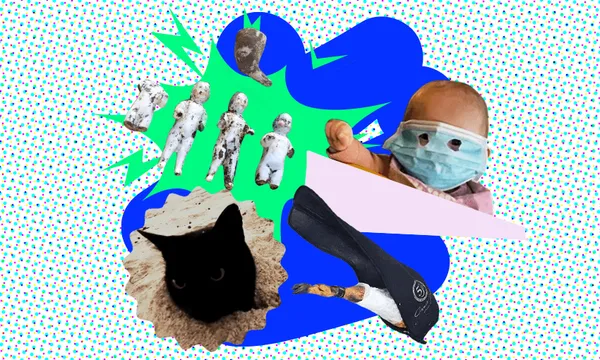 5jLbg7xn-FeatureImage_WeirdestNews.png