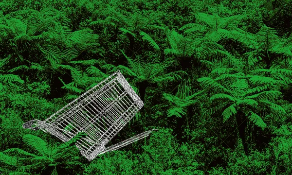 Supermarket trolleys