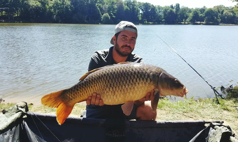 Portrait Of Man Holding Carp While Kneeling By Container At Lakeshore
