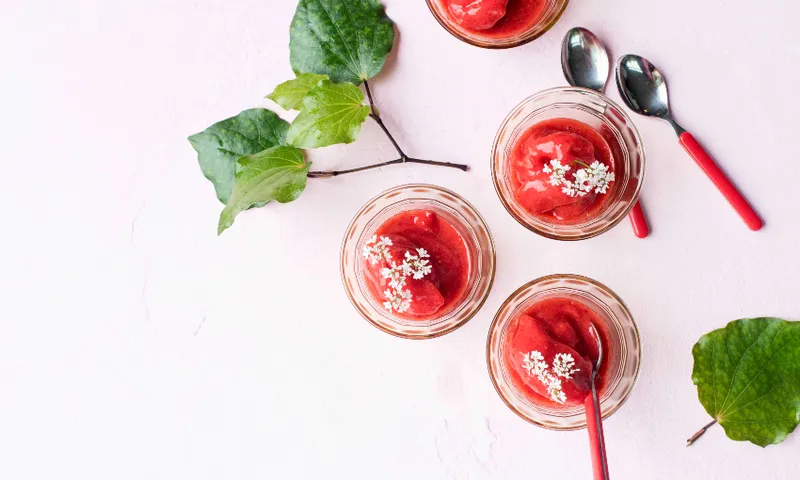 sorbet