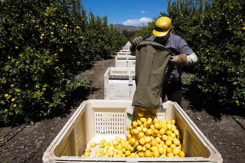 "Essential" Workers  Keep American Life Going During Coronavirus Pandemic