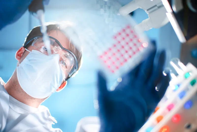 View from beneath glass table, of scientist examining a microtiter plate