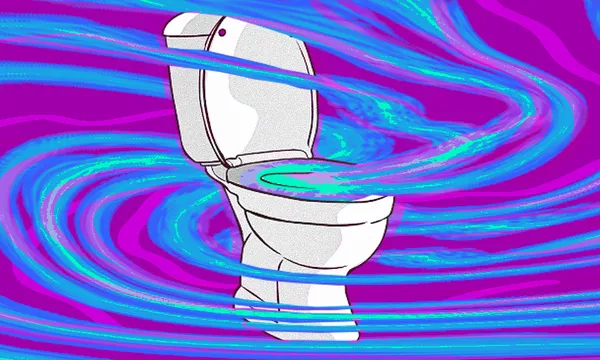 loo