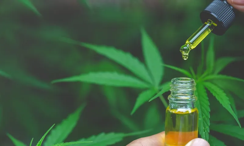 Cannabis