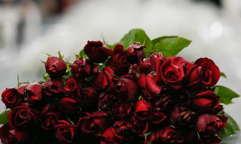Flowers for Valentine’s Day