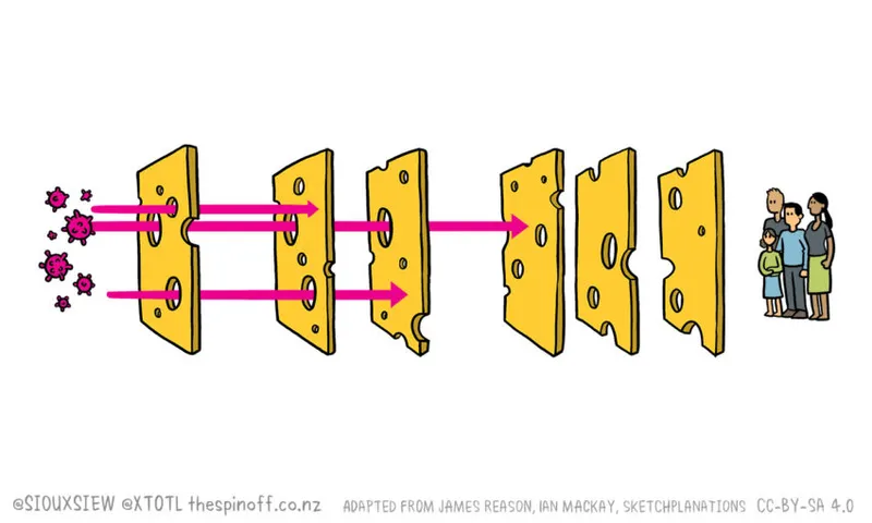 Covid-19 Cheese Model animation 02 header 02