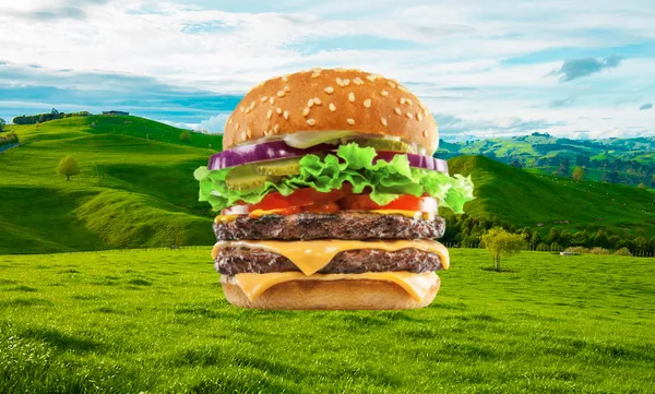 Sustainable burger feature